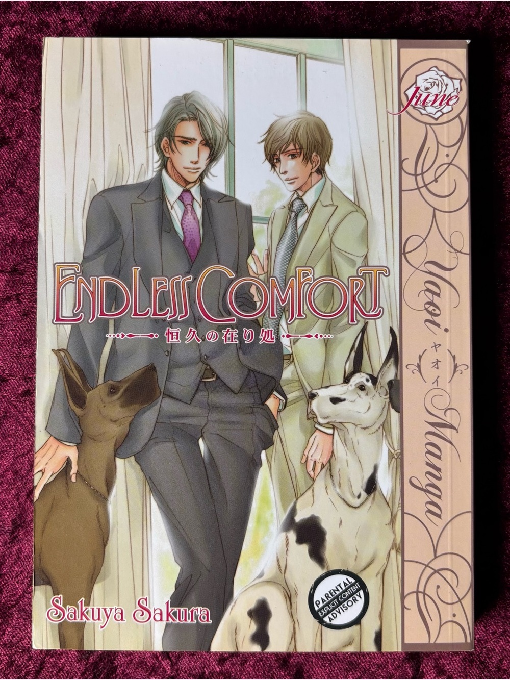Endless Comfort BL manga